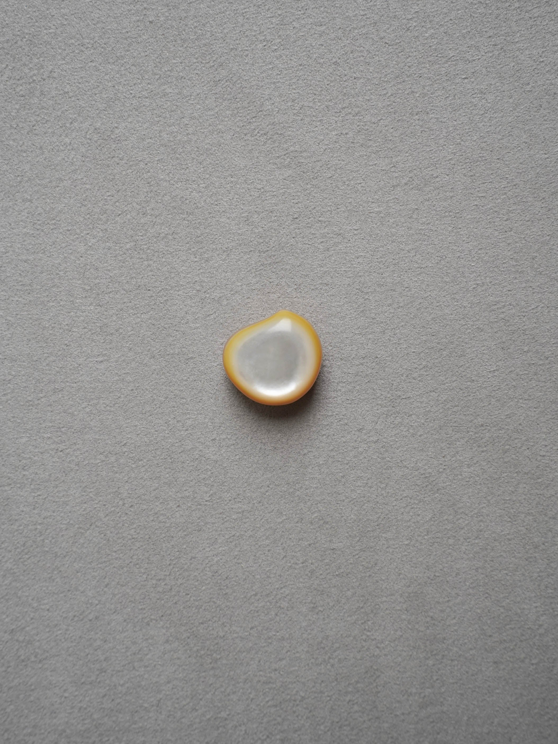 sumie｜石ころ・白蝶貝 (1pcs)