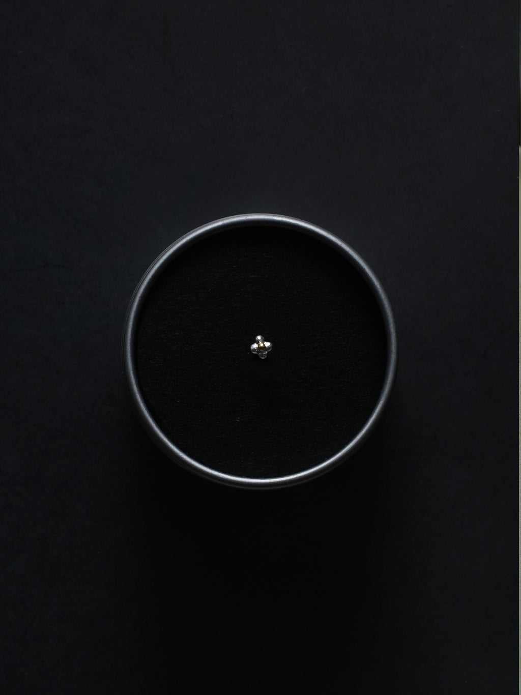 CHIZURU NAGAOKA / spore silver&gold 2 (single)