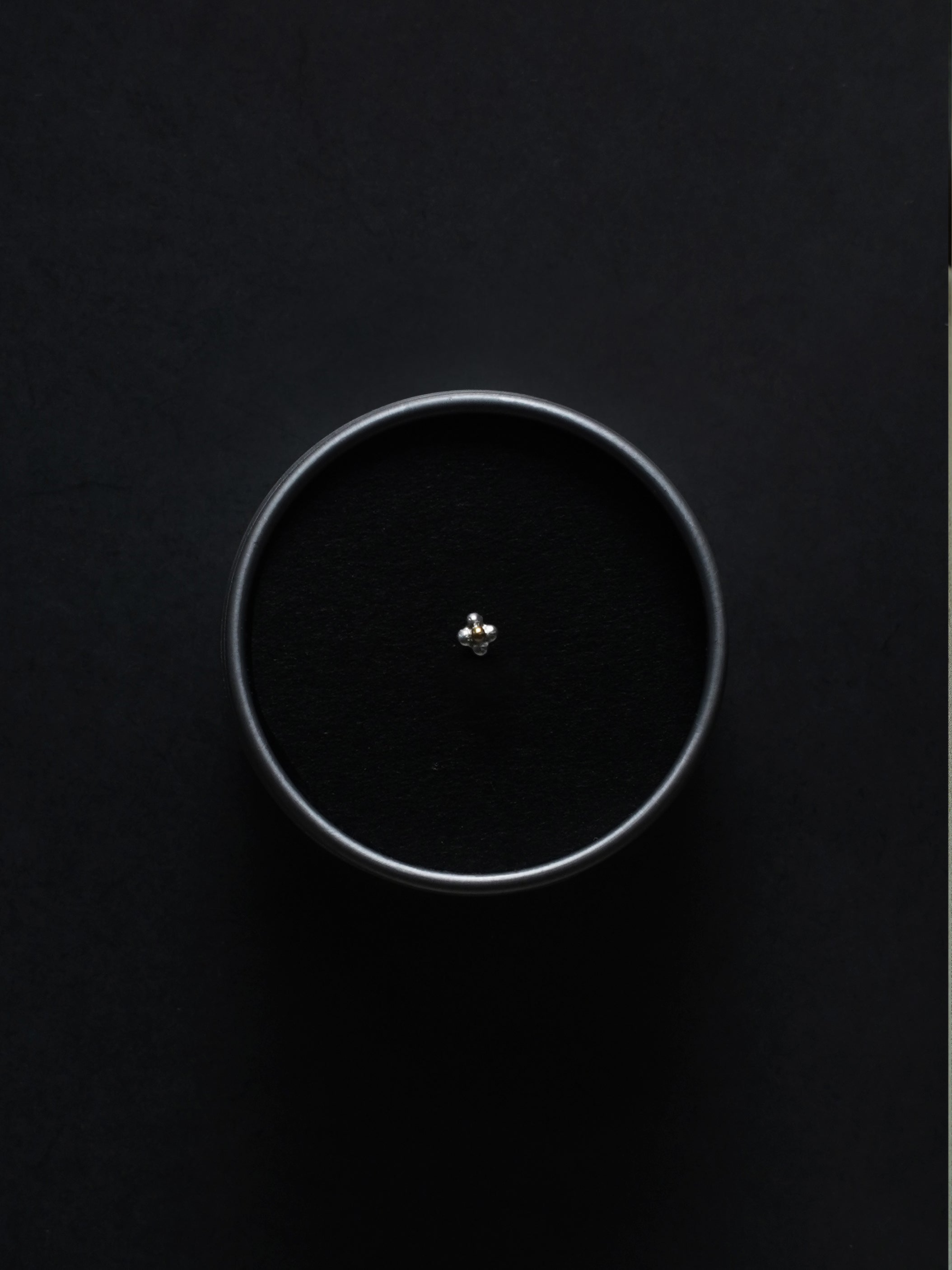 CHIZURU NAGAOKA / spore silver&gold 2 (single)